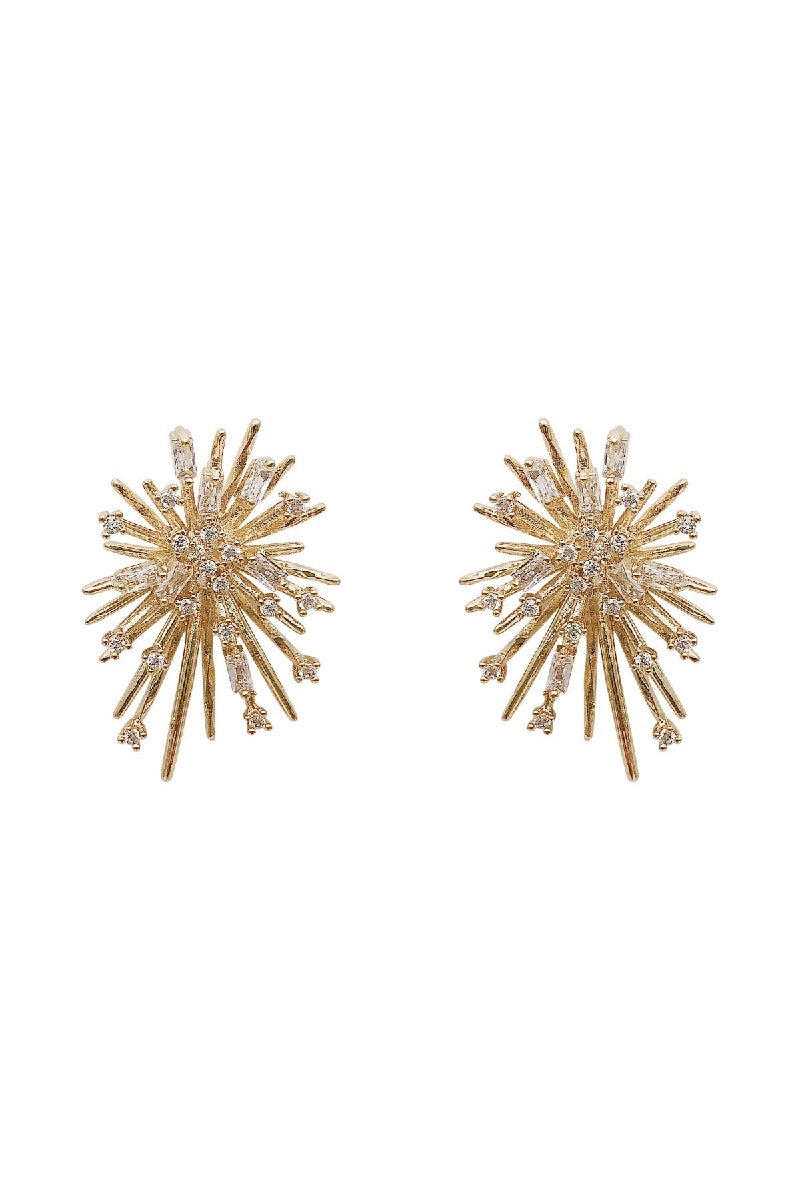 Zircon Fireworks Earrings Electroplated Exquisite Earrings 629289761561