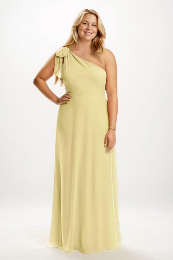 Sheath-Column Maxi Chiffon Bridesmaid Dress CB0758