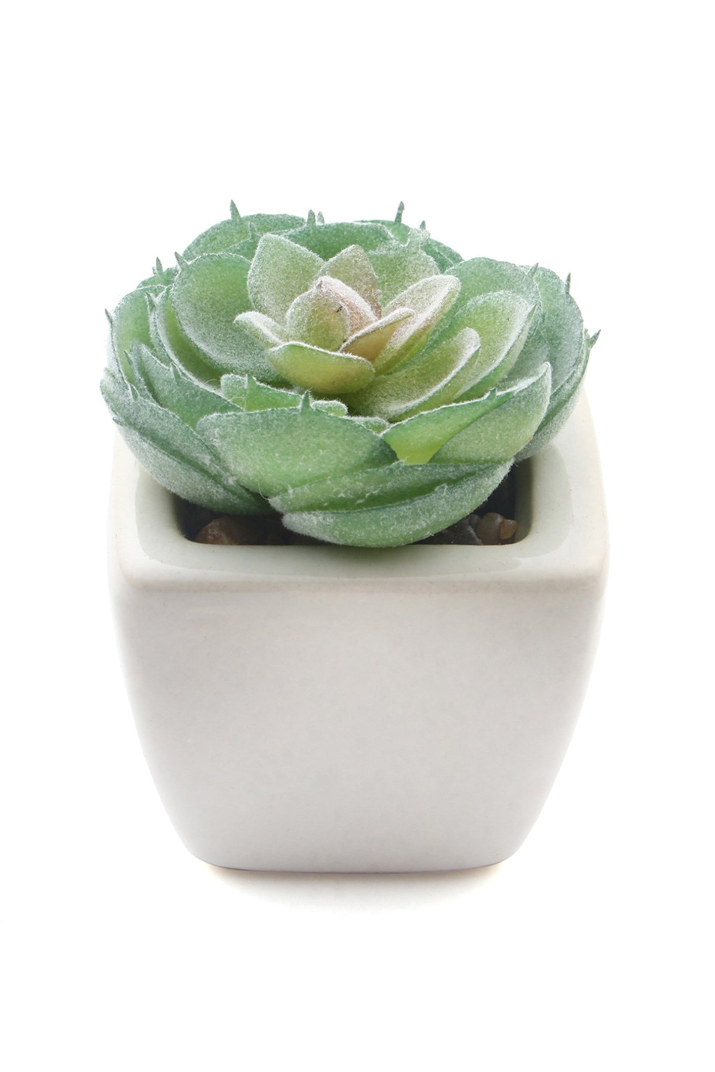 Lifelike Succulent Plant Decor-6 Assortment Pack CGF0197 (Set of 1 pcs)