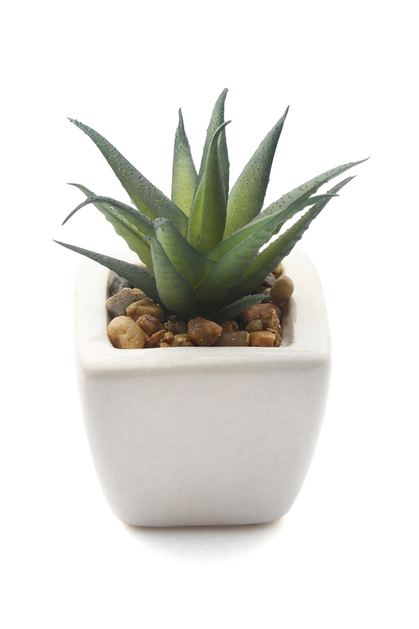 Lifelike Succulent Plant Decor-6 Assortment Pack CGF0197 (Set of 1 pcs)