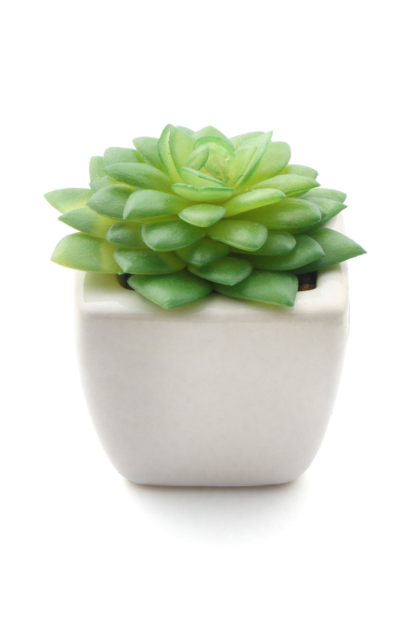 Lifelike Succulent Plant Decor-6 Assortment Pack CGF0197 (Set of 1 pcs)