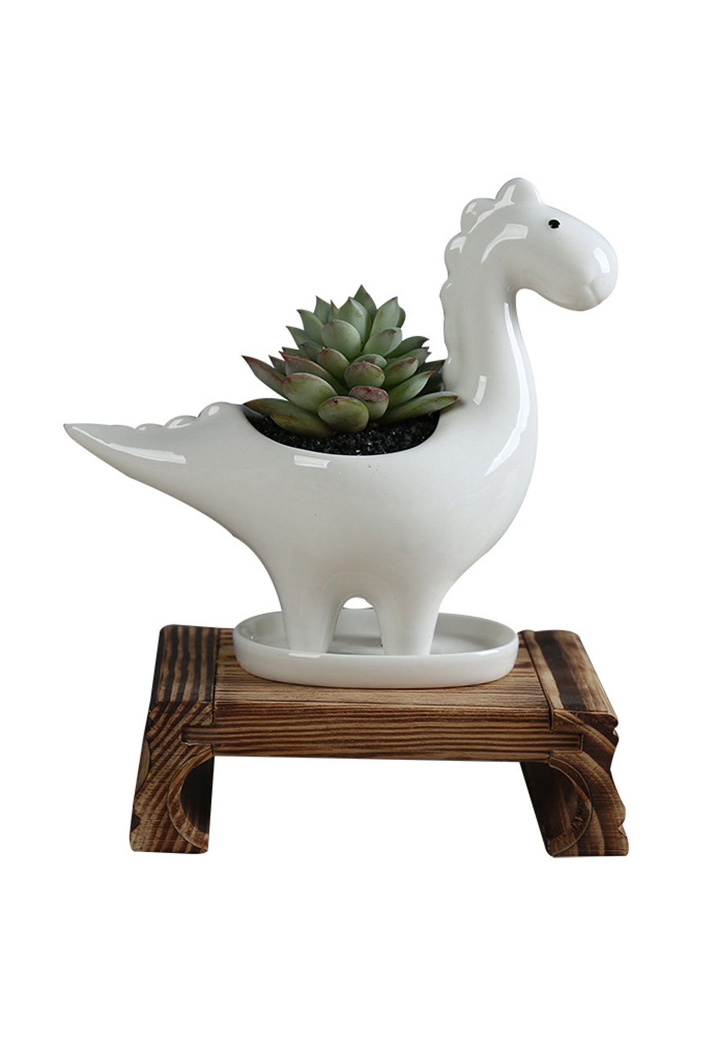 Dinosaur Planters CGF0198 (Set of 1 pcs)