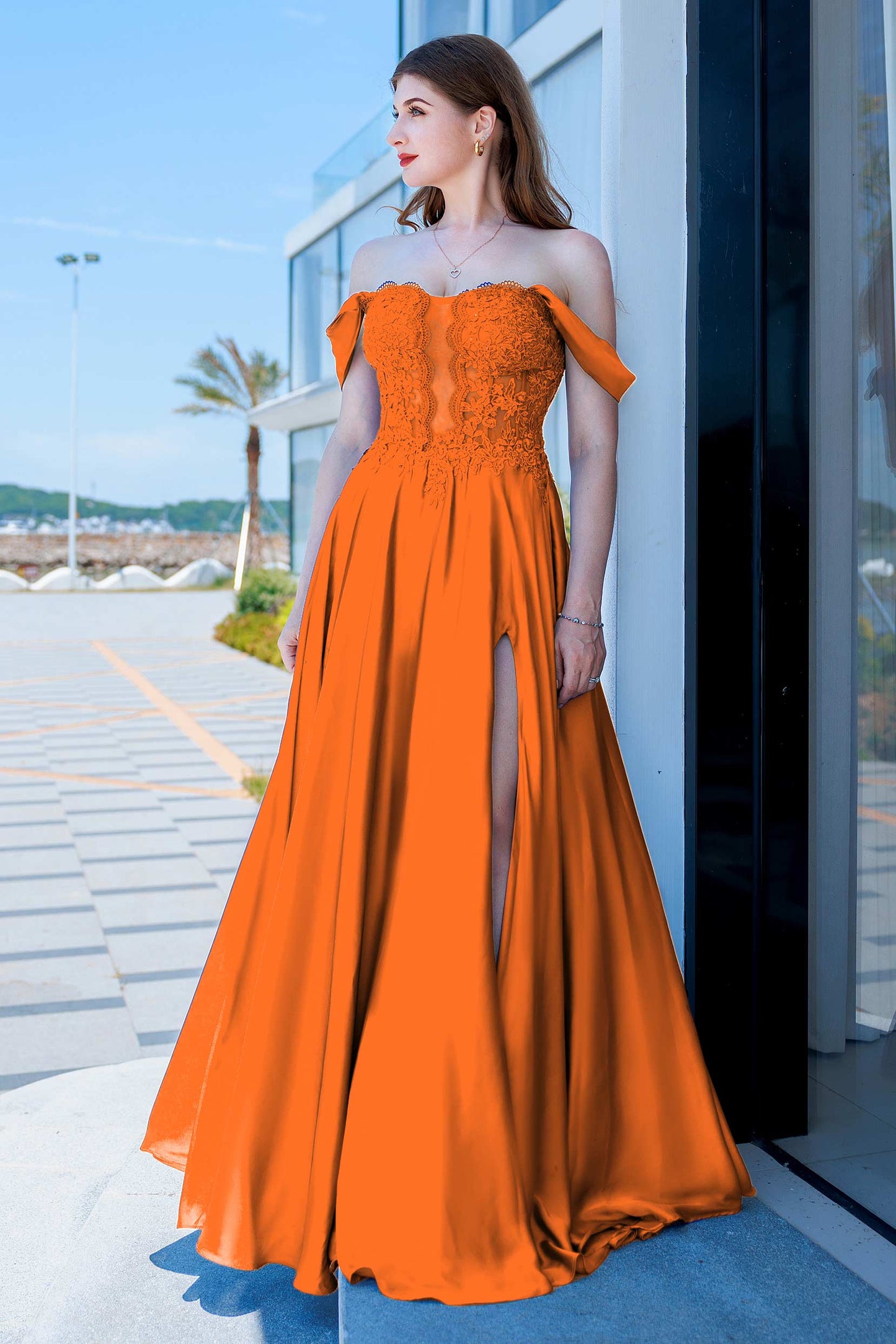 A-Line Floor Length Forged Chiffon Prom Dress CS0485