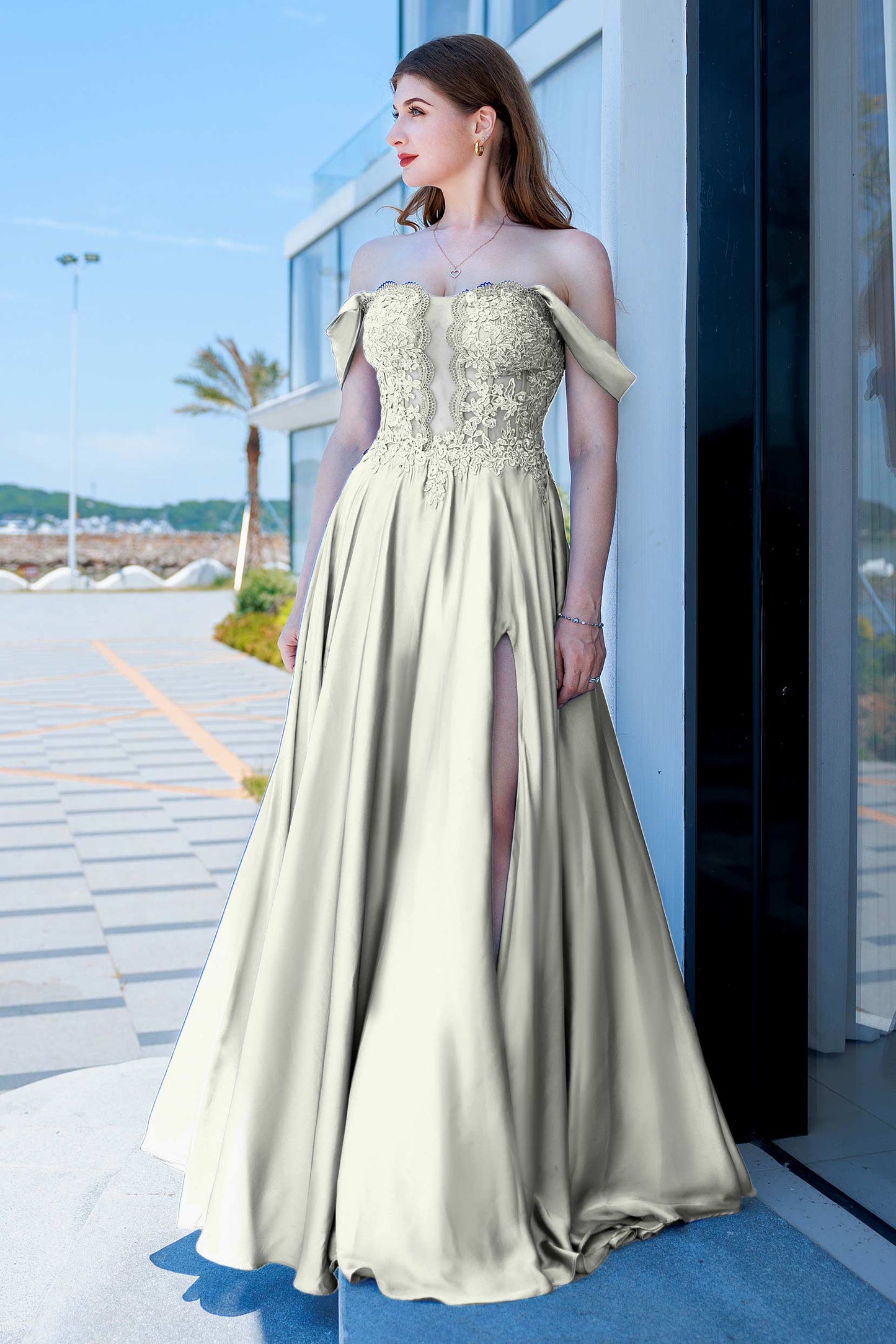 A-Line Floor Length Forged Chiffon Prom Dress CS0485