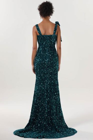 Sheath-Column Sweep-Brush Train Velvet Sequin Formal Dress CS0633