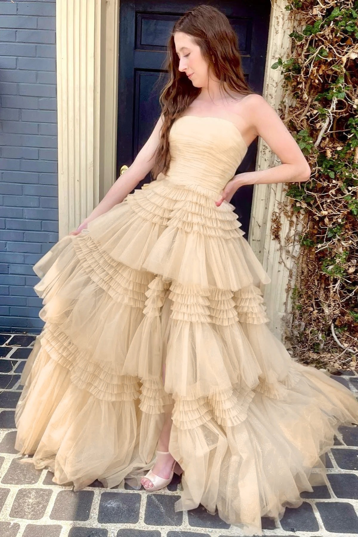 Ball Gown Court Train Tulle Prom Dress CS0700