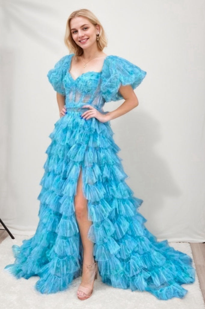 A-Line Court Train Tulle Prom Dress CS0704