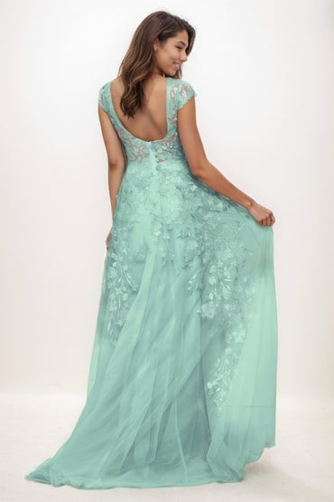 Illusion Neck A-Line Sweep Train Lace/Tulle Prom Dresses CS0747