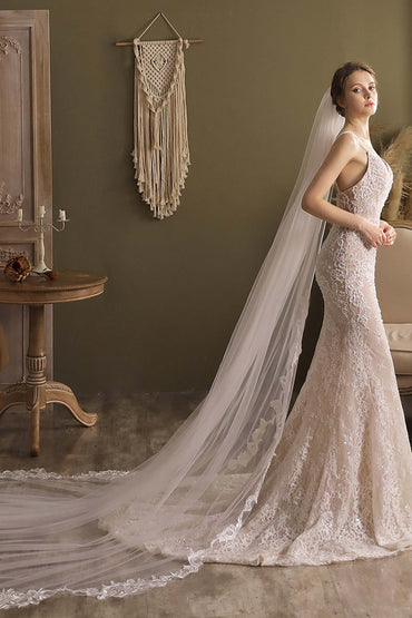 One-tier Lace Edge Tulle Cathedral Veils Appliques CV0269