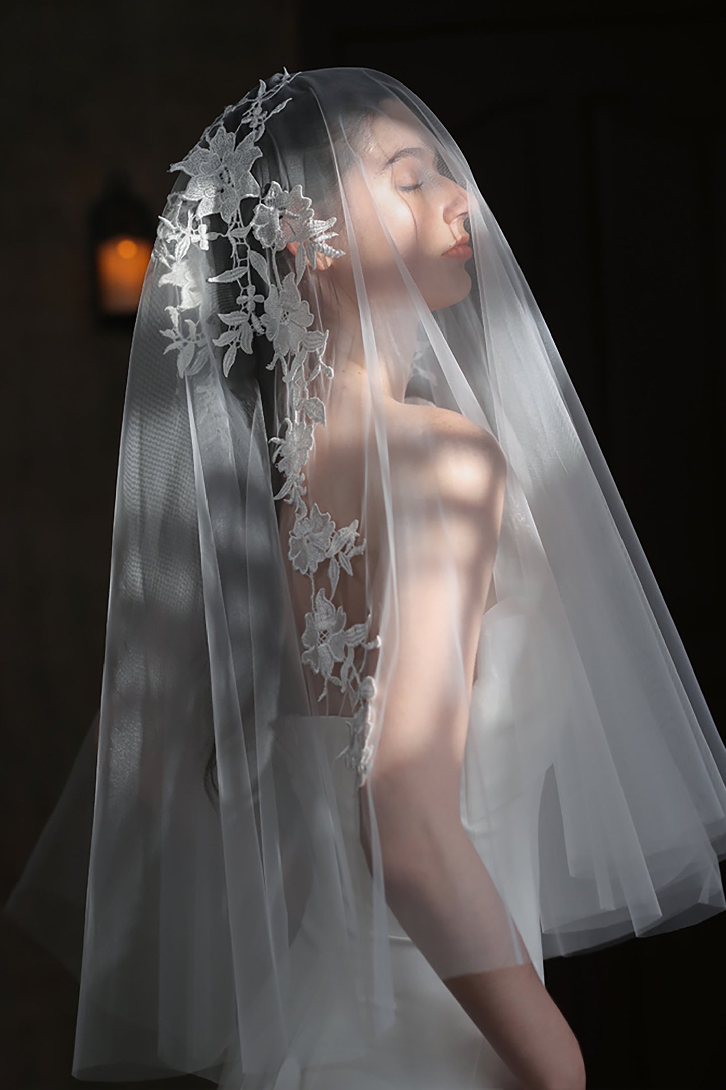 Two-tier Cut Edge Tulle Waist Veils with Appliques CV0310