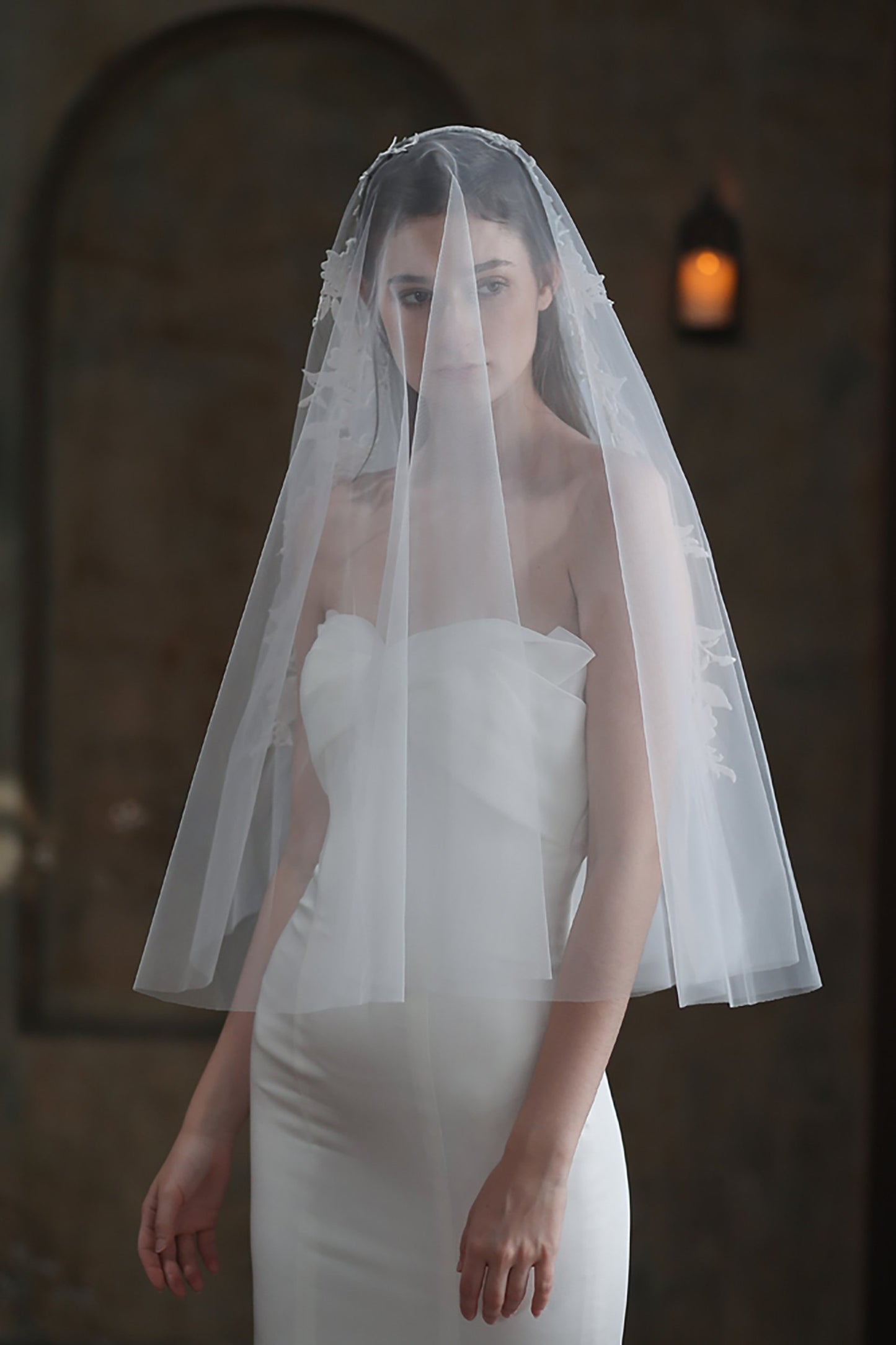 Two-tier Cut Edge Tulle Waist Veils with Appliques CV0310