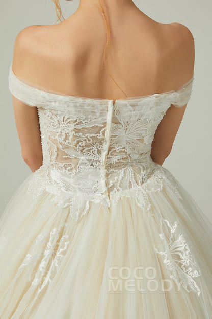 A-Line Chapel Train Tulle Wedding Dress CW2167