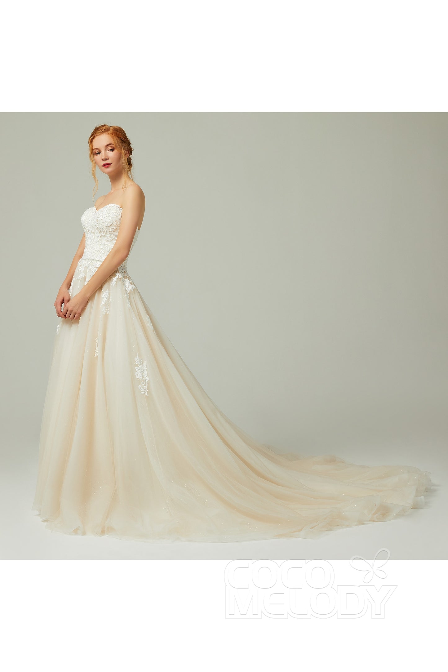 A-Line Chapel Train Tulle Wedding Dress CW2190