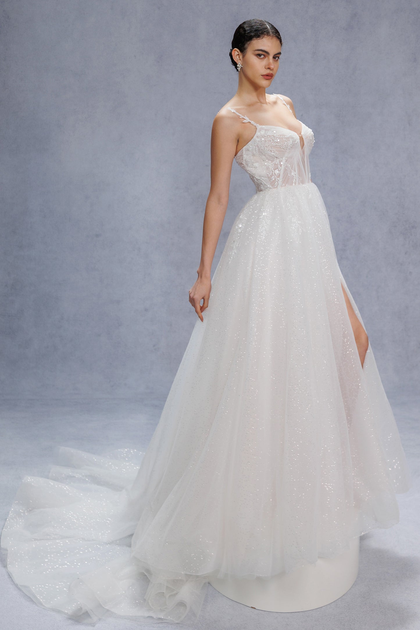 A-Line Court Train Sparkle Tulle Wedding Dress CW3338