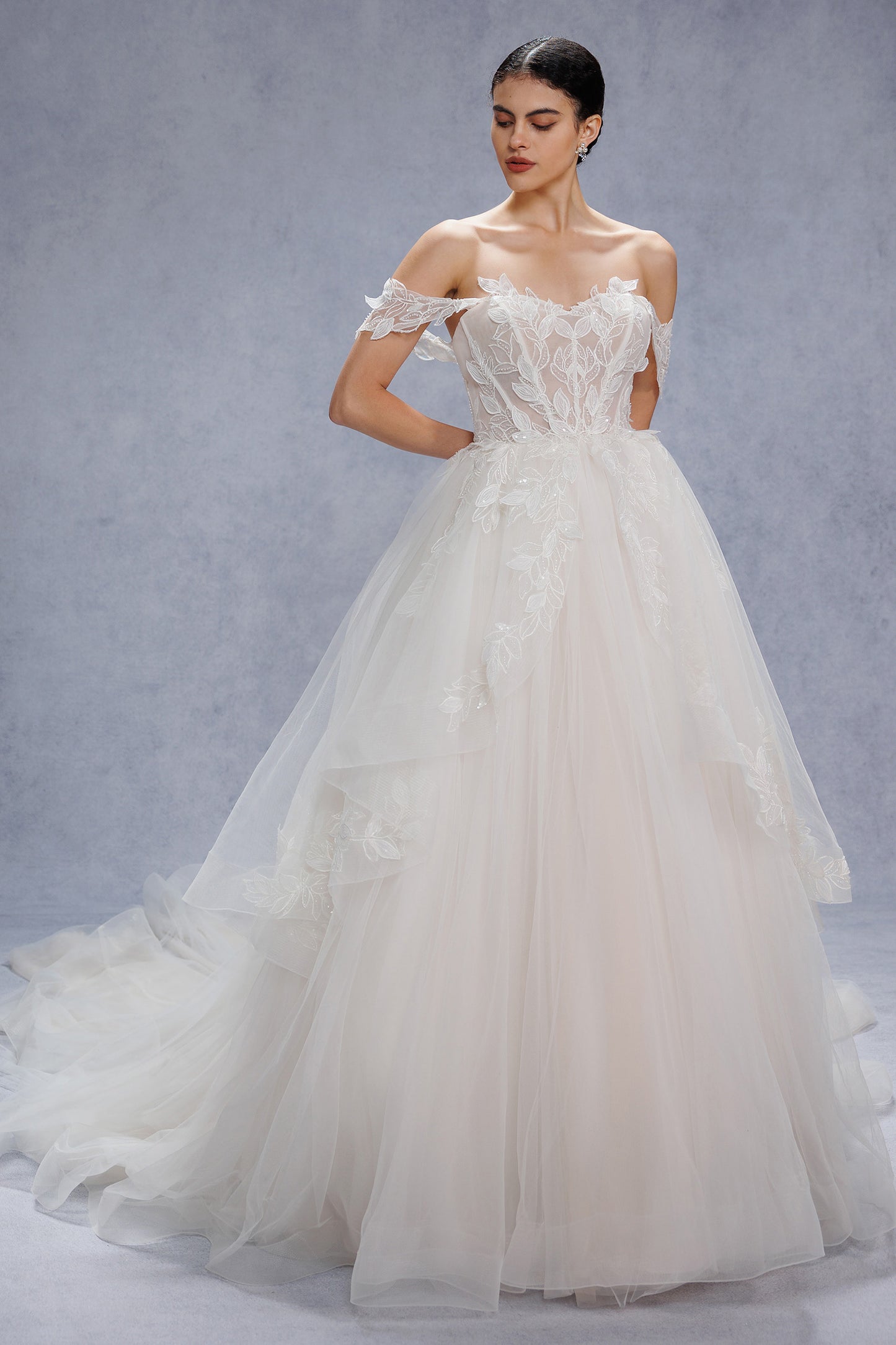 Ball Gown Court Train Lace Tulle Wedding Dress CW3543