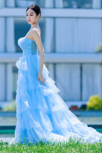 Princess Sweep-Brush Train Tulle Prom Dress CS0493