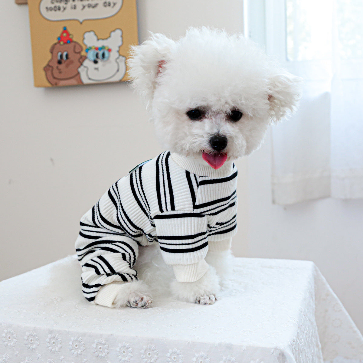 Pet clothes Dog cat clothing one-piece black and white strip home clothes 826130083807