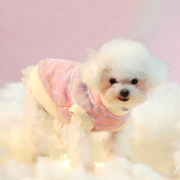 Dog clothes fall and winter 685057579992