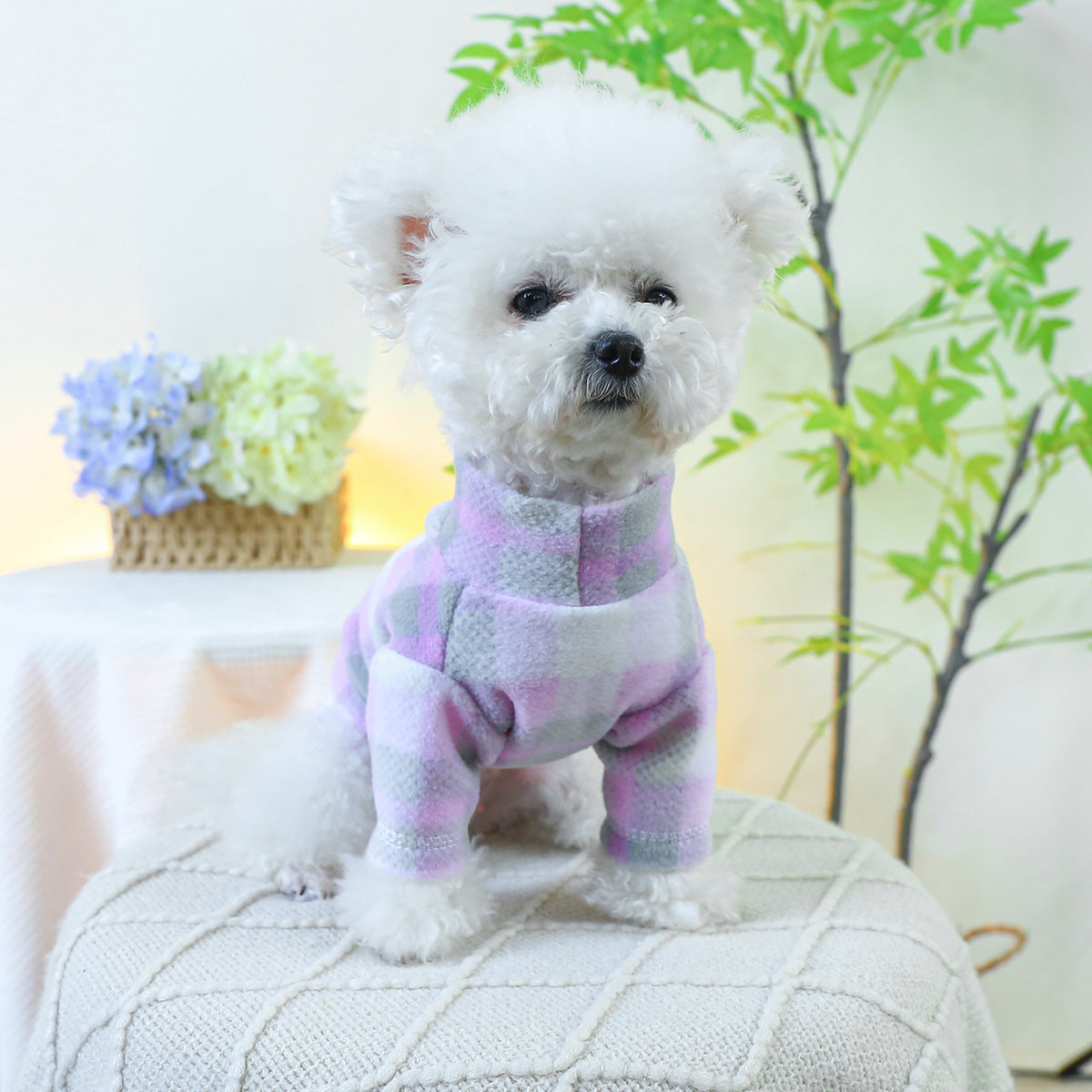 Pet clothing Dog cat clothing scarf bear base shirt 828960537474