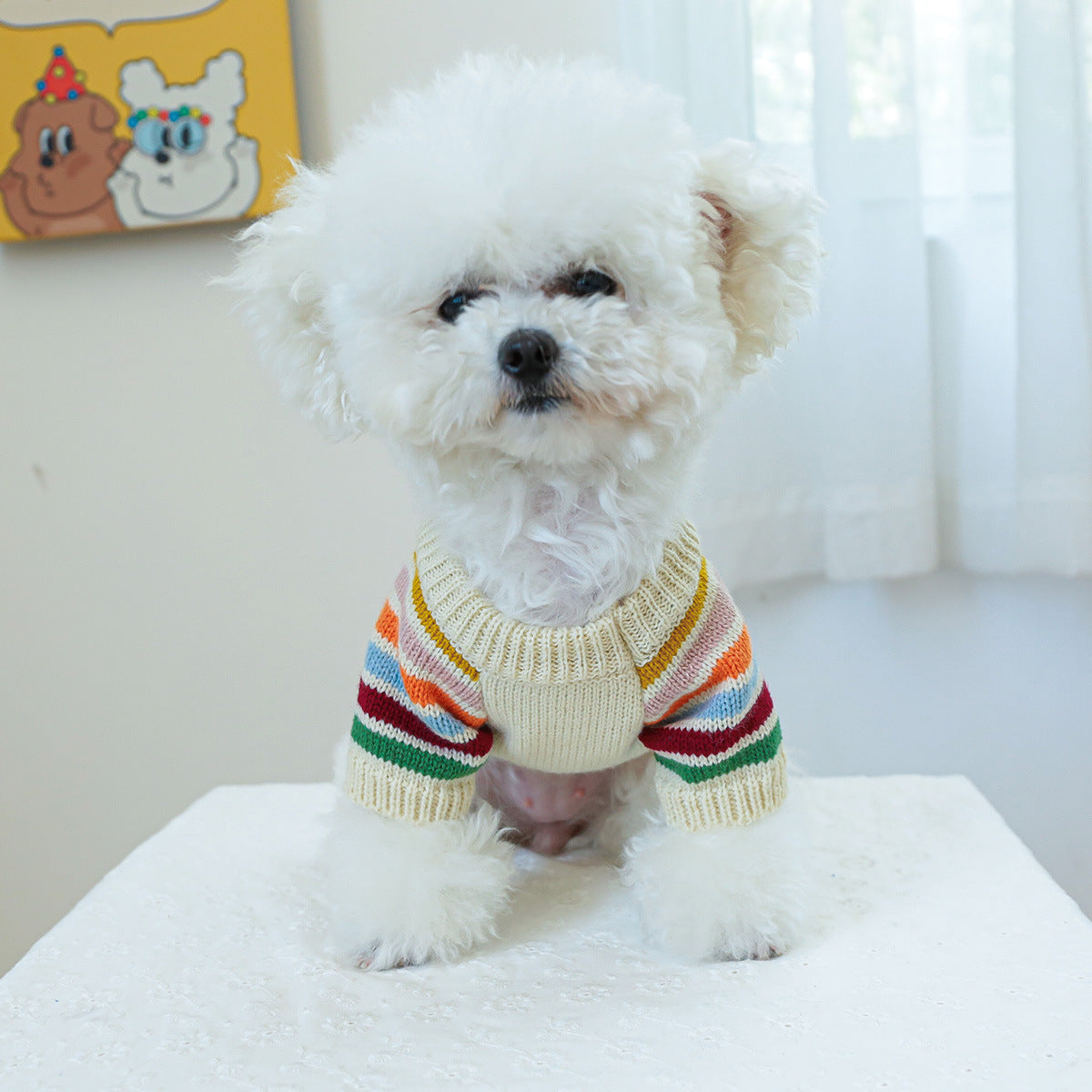 Pet dog cat rainbow sweater costume 816292705027