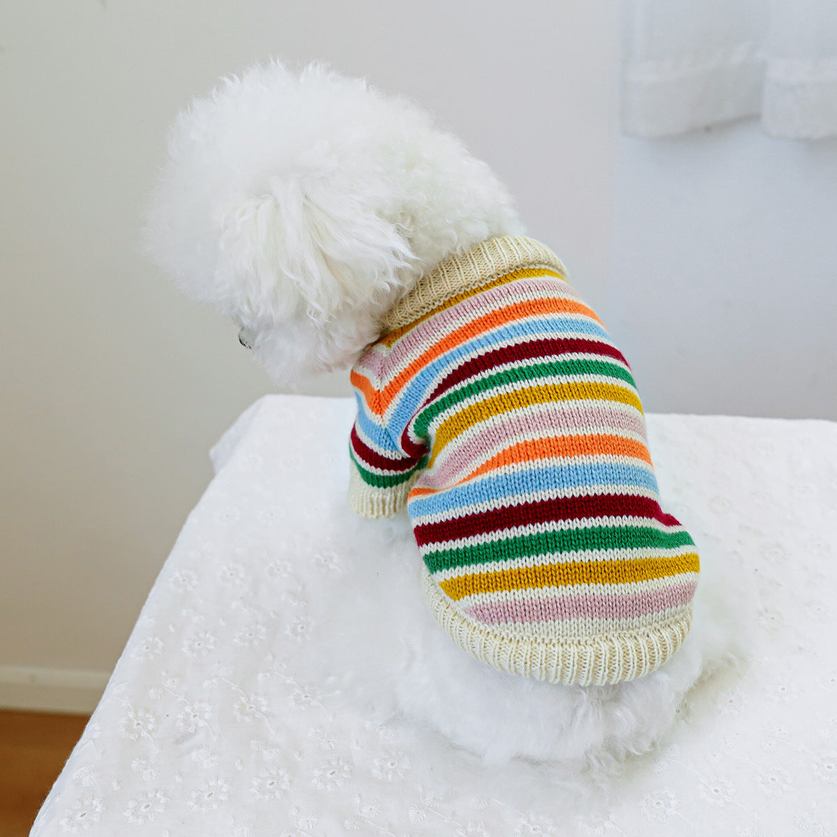 Pet dog cat rainbow sweater costume 816292705027