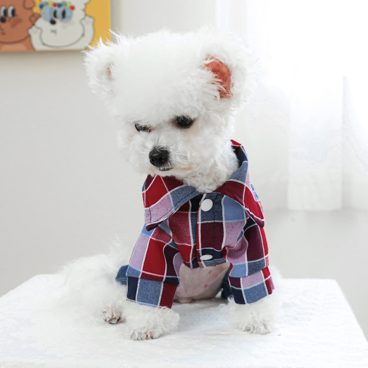 Pet Clothing Dog Cat clothing Handsome cowboy rider overalls 815972395405