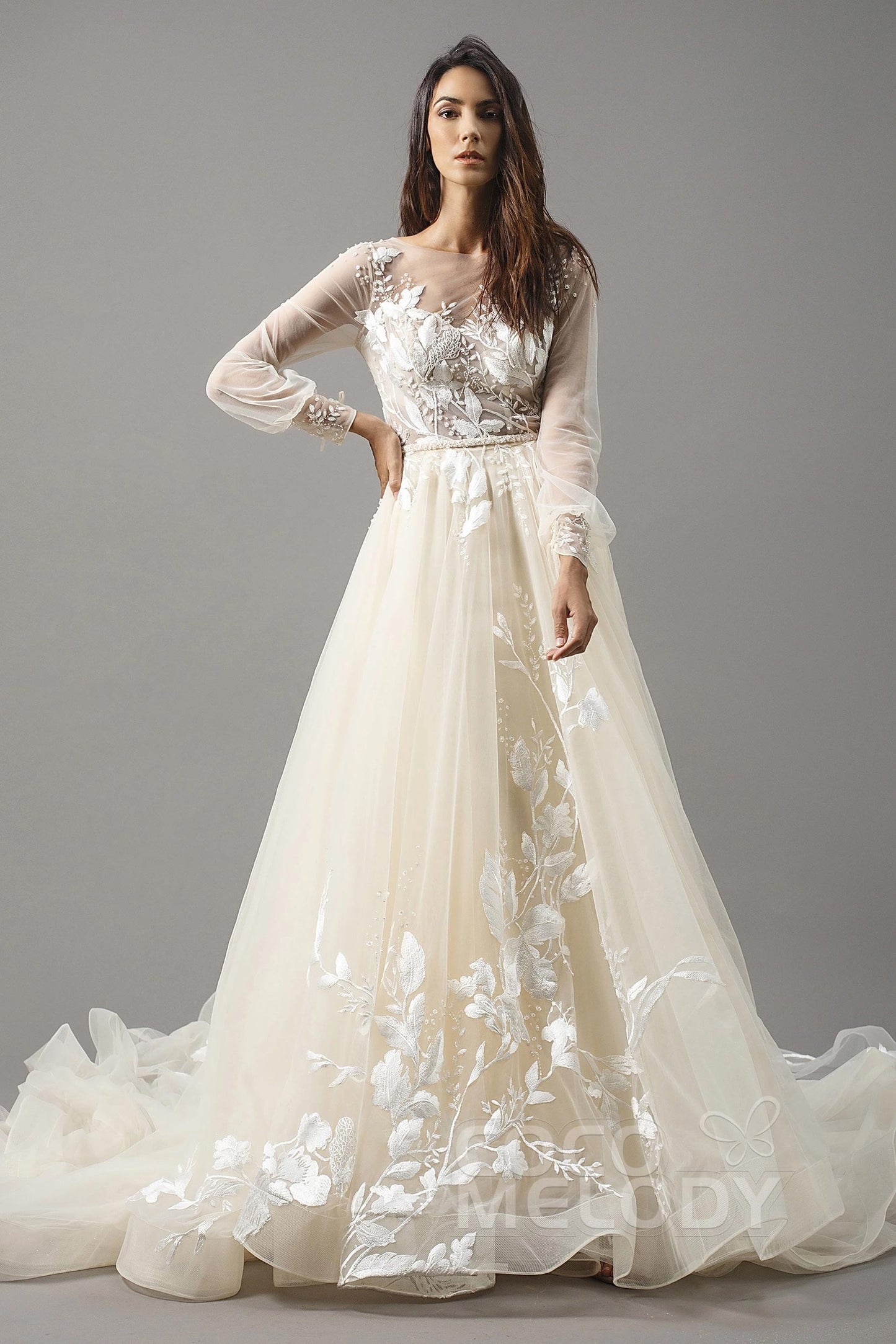 A-Line Chapel Train Tulle Wedding Dress LD5199CR