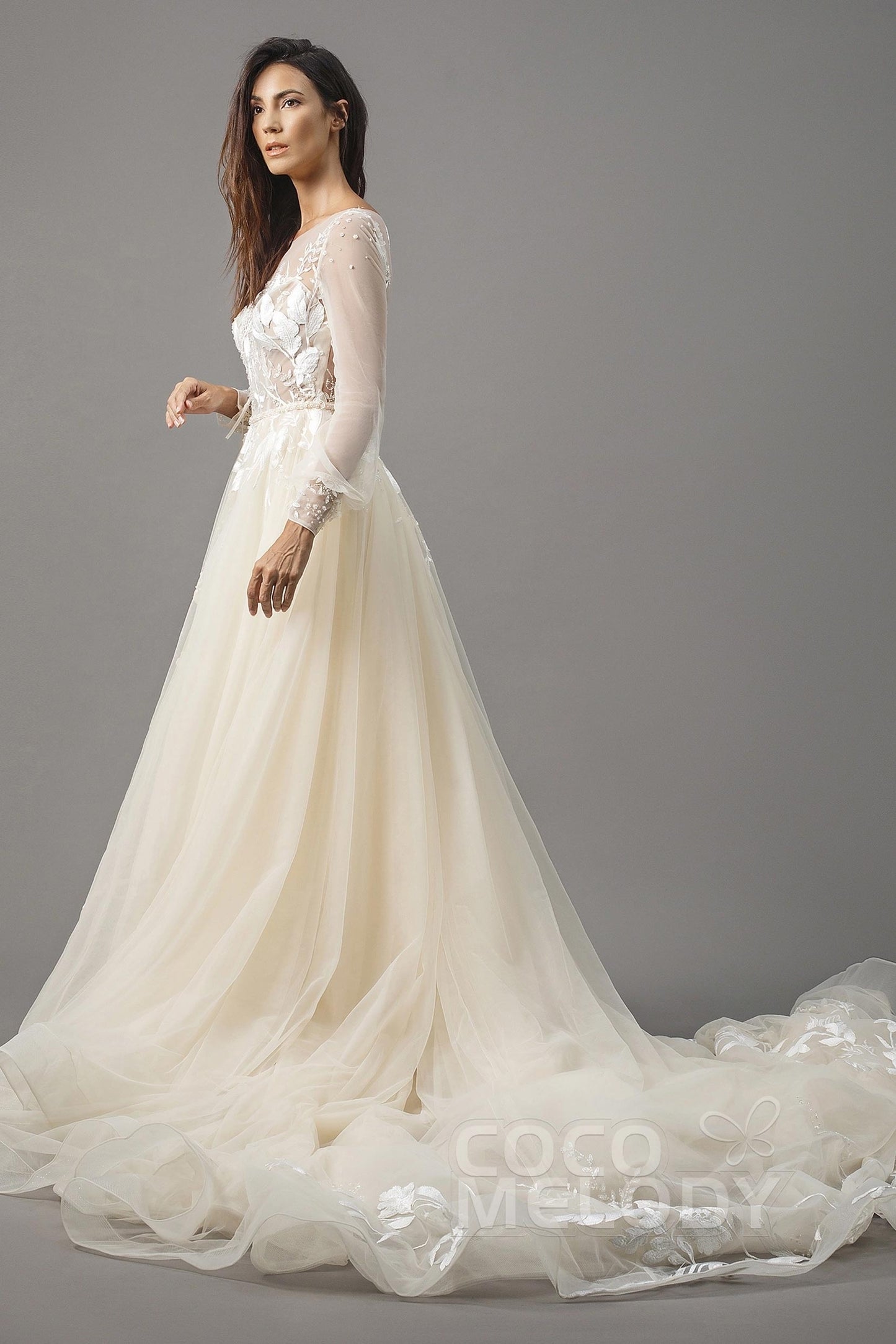 A-Line Chapel Train Tulle Wedding Dress LD5199CR