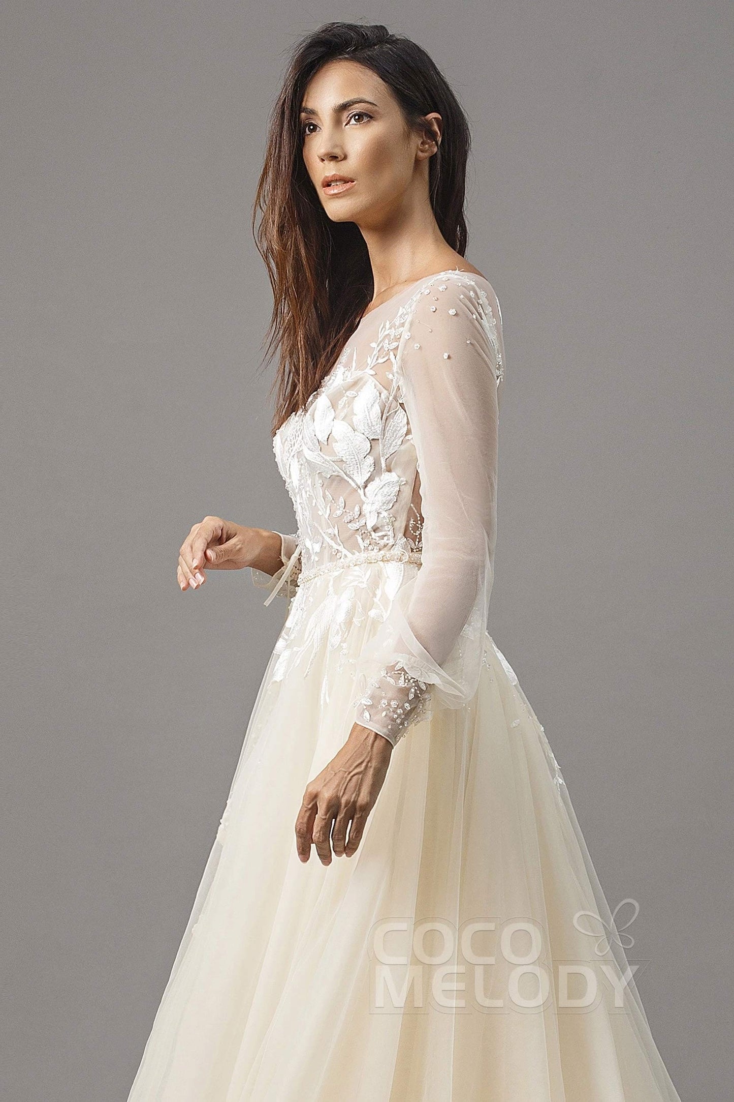 A-Line Chapel Train Tulle Wedding Dress LD5199CR